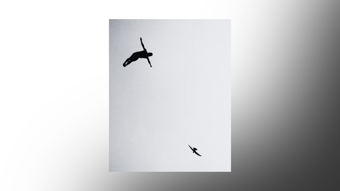Imagen de hombre volando junto con un ave, Viktor Frankl libertad significado